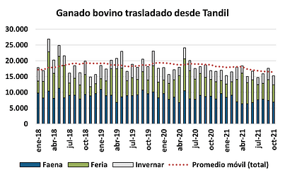 ganado bovino
