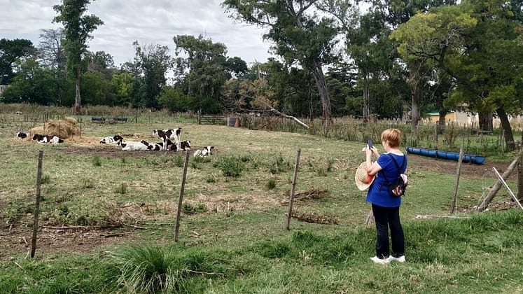 Turismo rural accesible2 | Enfoque de Noticias Tandil
